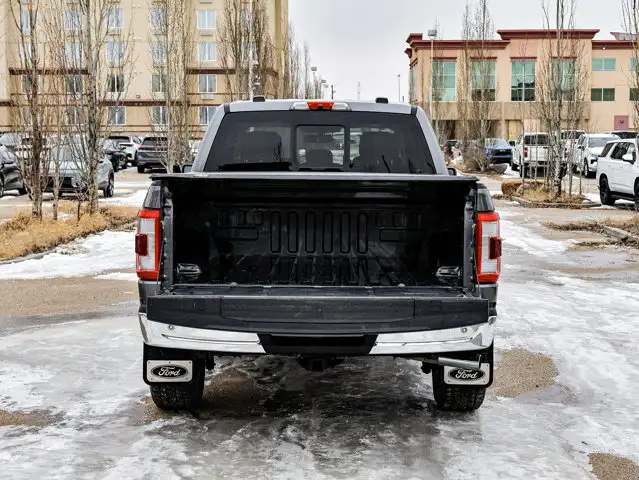 2021 Ford F-150 LARIAT 3.5L - Photo 15