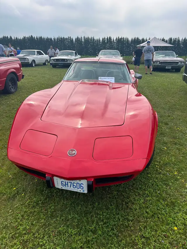 1976 corvette stingray - Photo 3