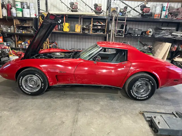 1976 corvette stingray - Photo 4