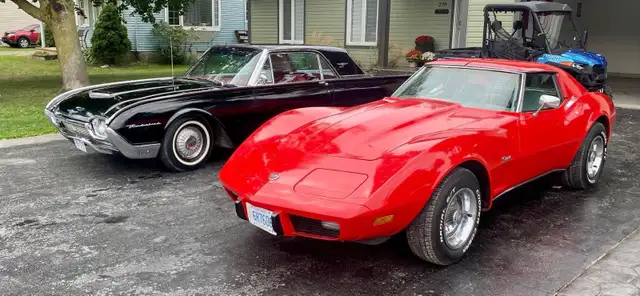 1976 corvette stingray - Photo 5