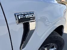 2024 Ford F-150 XLT CREW CAB 4X4 / REAR CAMERA / NAVIGATION - Photo 12