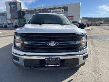 2024 Ford F-150 XLT CREW CAB 4X4 / REAR CAMERA / NAVIGATION - Photo 15