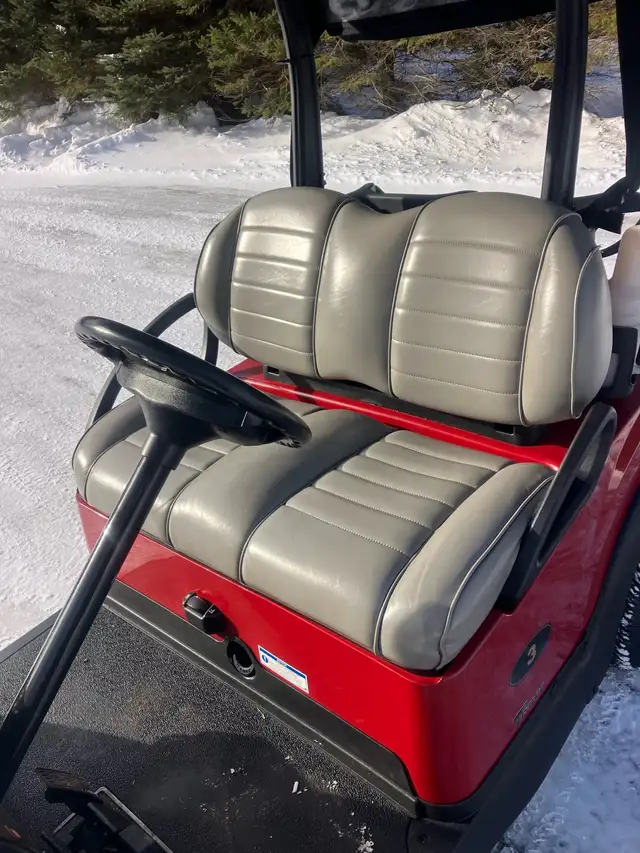2022 Clubcar Tempo Premium Electric Golf Cart - Photo 8