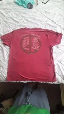 DOBBIE BROTHERS VINTAGE T-SHIRT