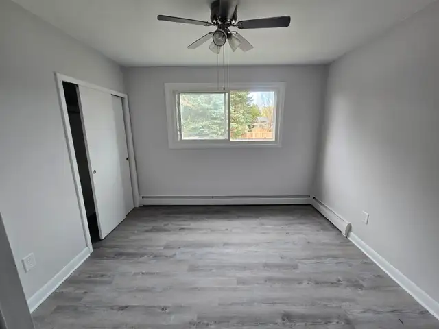 Spacious Renovated 2 bedroom Apartment - Haist Street Fonthill - Photo 5