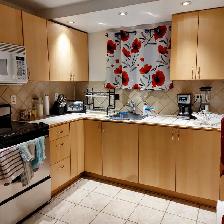 Nice clean renovated 3 1/2 for Rent