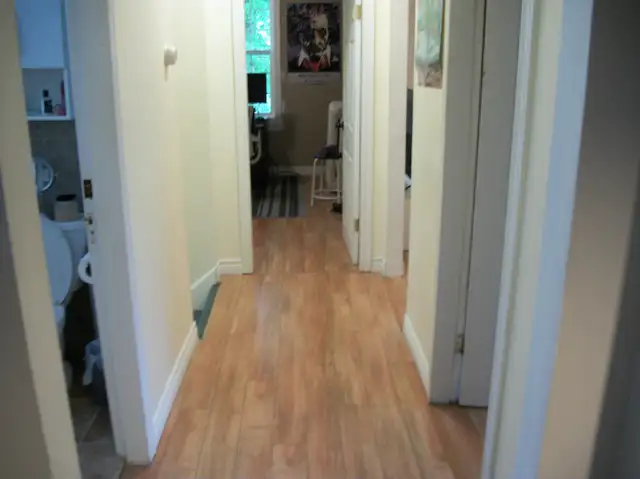 2 bedroom apartment, Pepperell St, close to Univ, QE2, Downtown - Photo 7