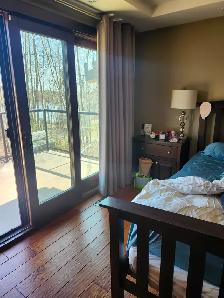 Professional/reliable house cleaner for hire $30/hour. - Photo 3