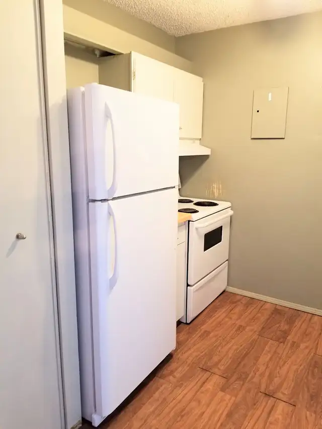 LOWEST Price ever: Dalhousie - Bi-Level, 2 Bdrm,14th&15th - Photo 6