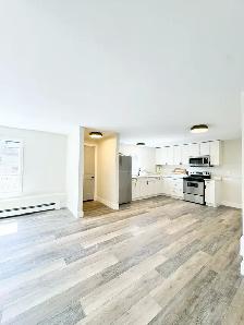 Bright Renovated 2-Bedroom Apartment for Rent - Photo 4