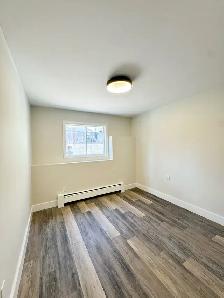 Bright Renovated 2-Bedroom Apartment for Rent - Photo 11