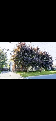 AIDE POUR UN DÉMÉNAGEMENT