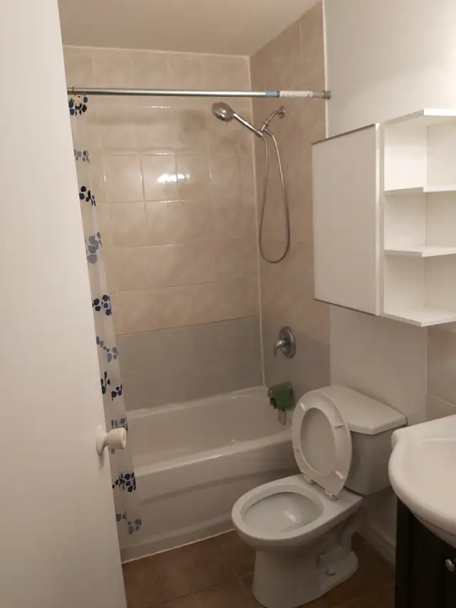 Master Bed Room 3rd floor-Walking Closet, attached bathroom-$495 - Photo 3