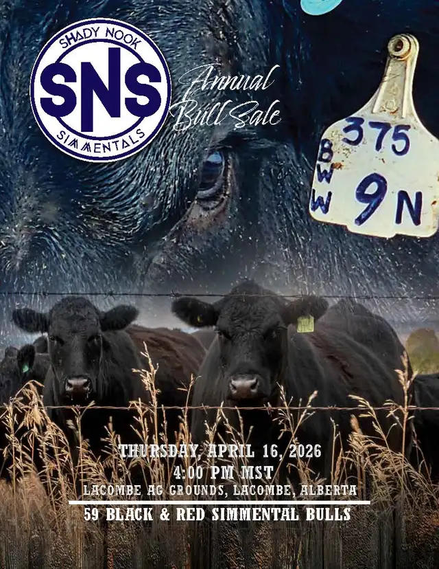 Shady Nook Simmentals Annual Bull Sale