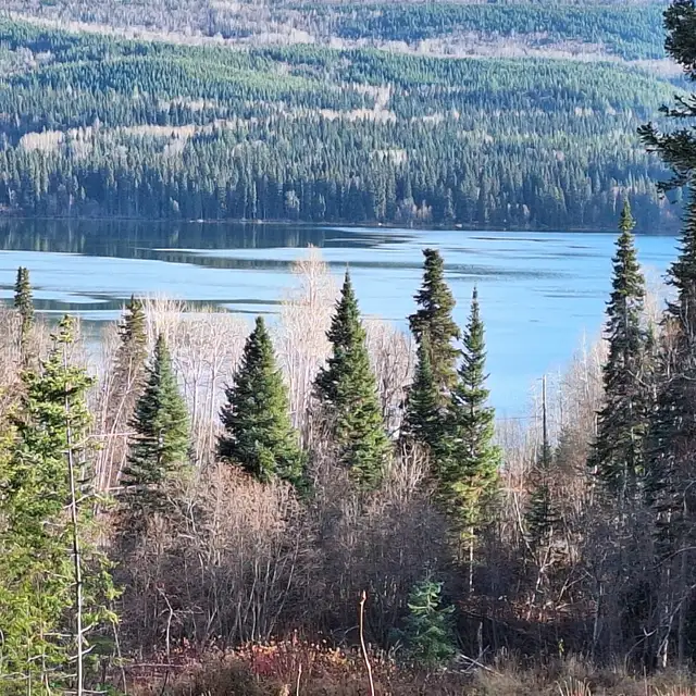 5.17 ACRES LAKE VIEW PROPERTY AT TABOR LAKE - PRINCE GEORGE