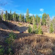 5.17 ACRES LAKE VIEW PROPERTY AT TABOR LAKE - PRINCE GEORGE - Photo 9