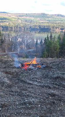 5.17 ACRES LAKE VIEW PROPERTY AT TABOR LAKE - PRINCE GEORGE - Photo 10