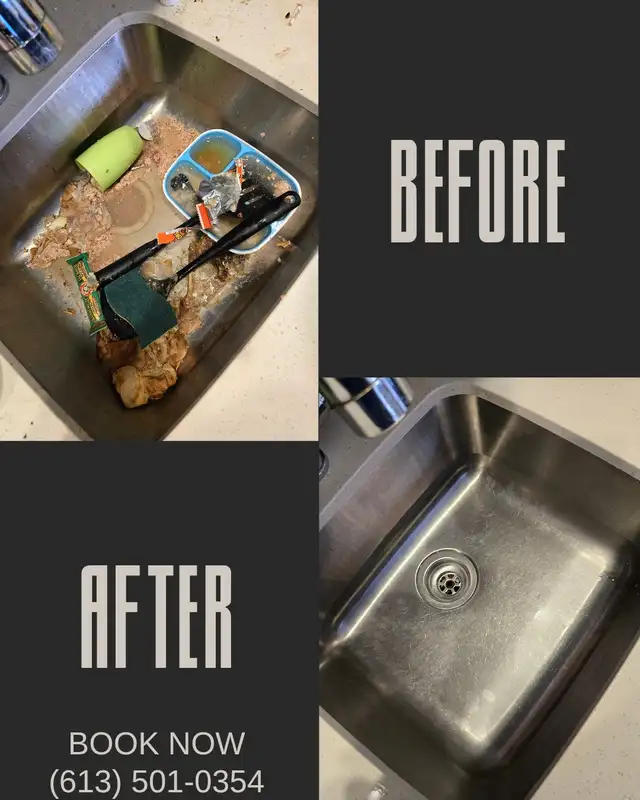 SPRING CLEANING LADY (613) 501-0354