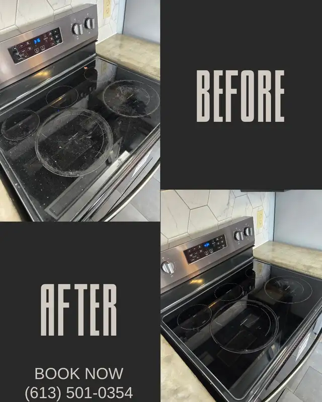 SPRING CLEANING LADY (613) 501-0354 - Photo 2