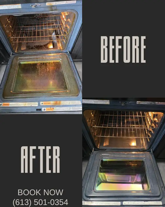 SPRING CLEANING LADY (613) 501-0354 - Photo 3