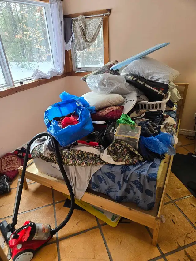 SPRING CLEANING LADY (613) 501-0354 - Photo 4