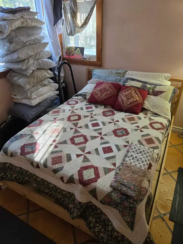 SPRING CLEANING LADY (613) 501-0354 - Photo 5