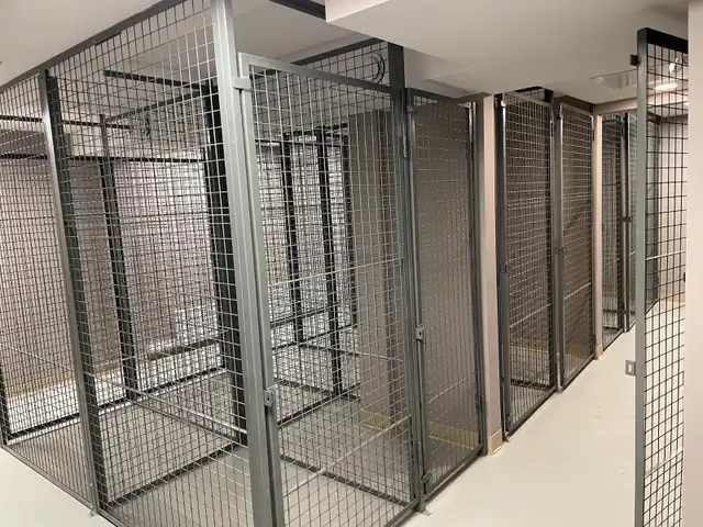 1 bedroom apartment for rent - Photo 4