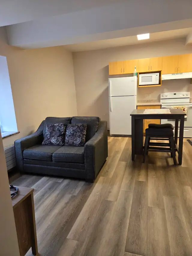 1 bedroom apartment for rent - Photo 7