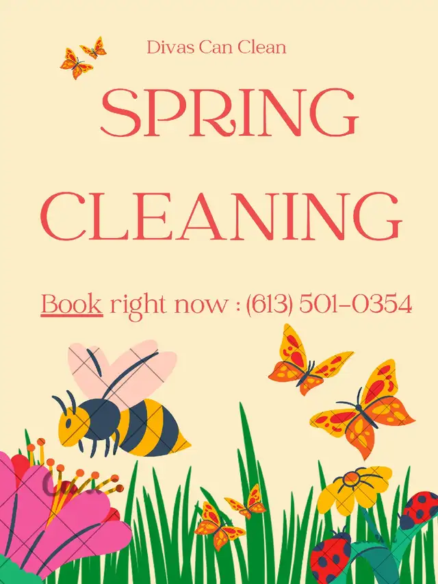 (613) 501-0354 SPRING CLEANING