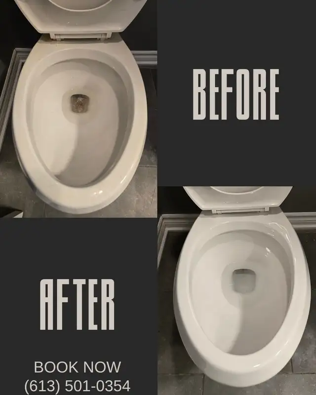 (613) 501-0354 SPRING CLEANING - Photo 4