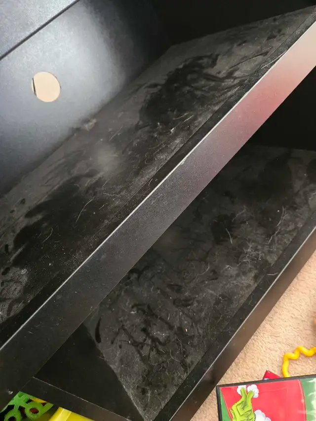 (613) 501-0354 SPRING CLEANING - Photo 5