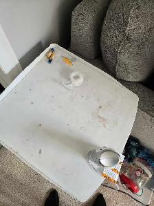 (613) 501-0354 SPRING CLEANING - Photo 7