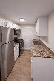 Bright Newly Renovated 1-Bedroom Apartment for Rent