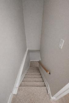 Bright Newly Renovated 1-Bedroom Apartment for Rent - Photo 6