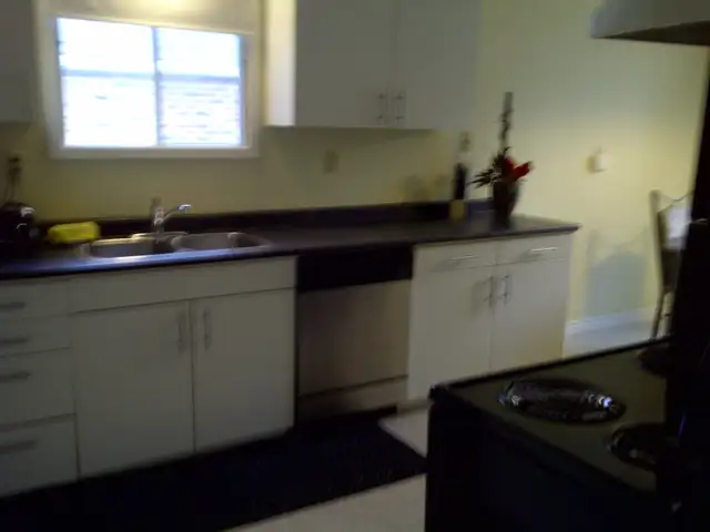 5 BDRMs- Minutes to UWO- Oxford/Platts Lane- UTIL INCL - Photo 4