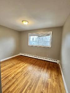 Hartlen Avenue - 4 BR, 2 BATH BEAUTIFUL FAMILY HOME AVAIL NOW! - Photo 16