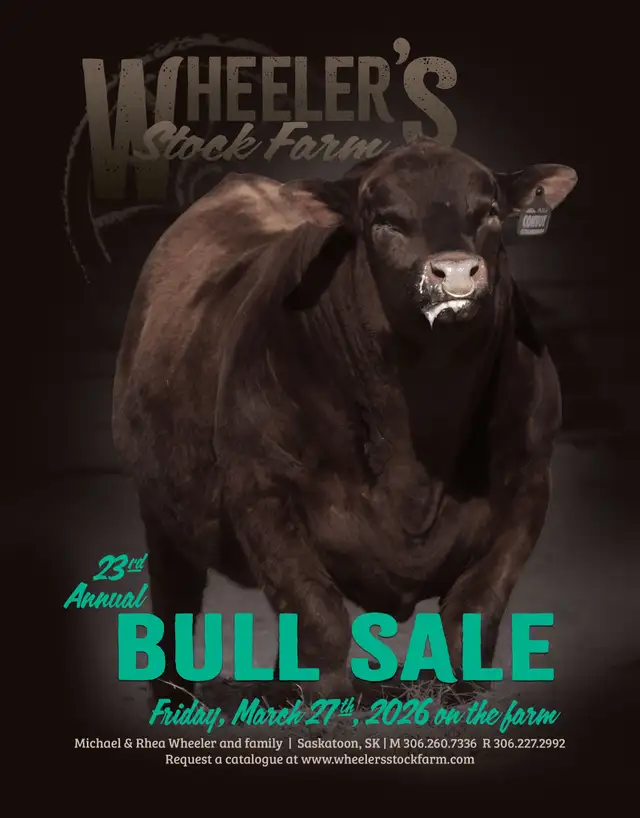 WHEELER'S STOCK FARM 23RD ANNUAL BULL SALE - FRIDAY MARCH 27TH
