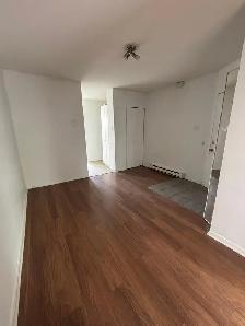 3 ½ Rosemont petite Patrie. proche Masson, electros, wifi inclus