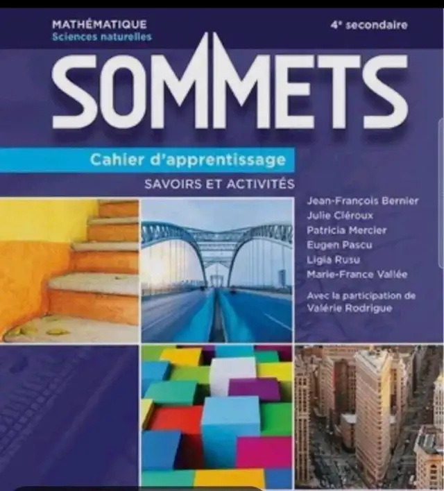 tutorat et aide aux études en maths, physique et chimie - Photo 4