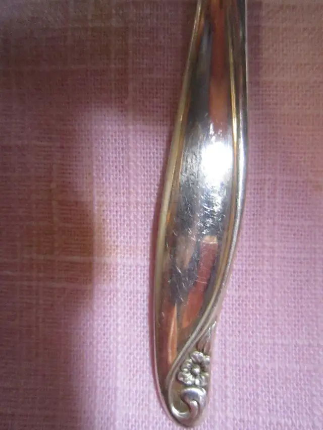 #164A FLOWER TIME silverware set for 8