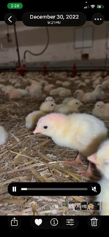 Farm General Operations & Mechanical Labourer - Photo 4