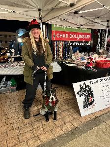 Professional Dog Training - Photo 4