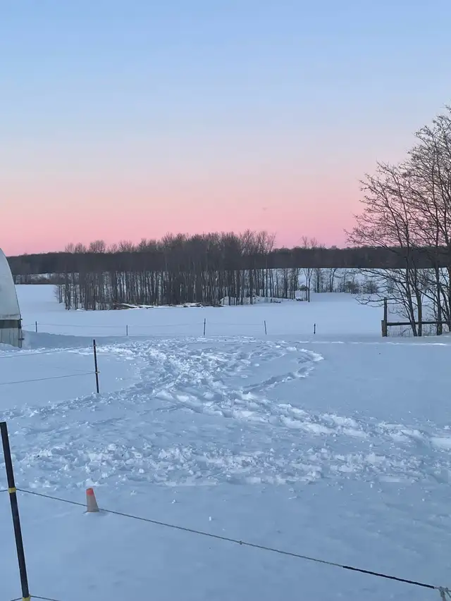 ROOM AVAILABLE ON HORSE HOBBY FARM - Photo 9