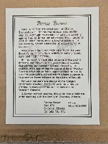 Bernie Brown artwork - Photo 2