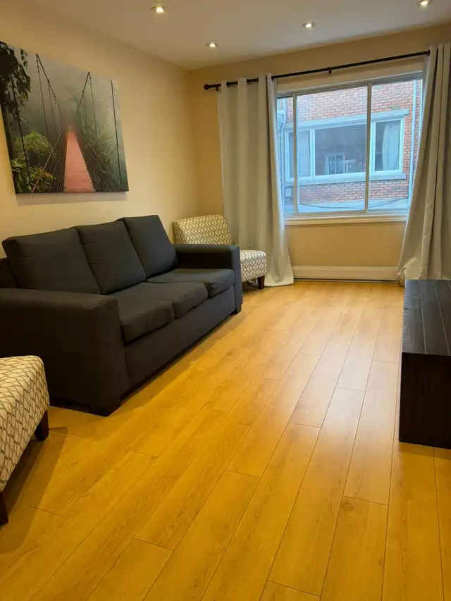 Beautiful Furnished One Bedroom Apartment for IMMEDIATE MOVE IN