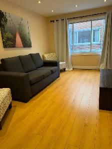 Beautiful Furnished One Bedroom Apartment for IMMEDIATE MOVE IN