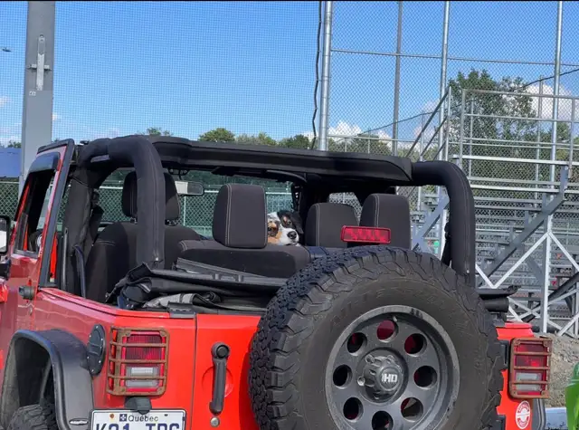 Jeep Wrangler Sahara 2015 - Photo 5