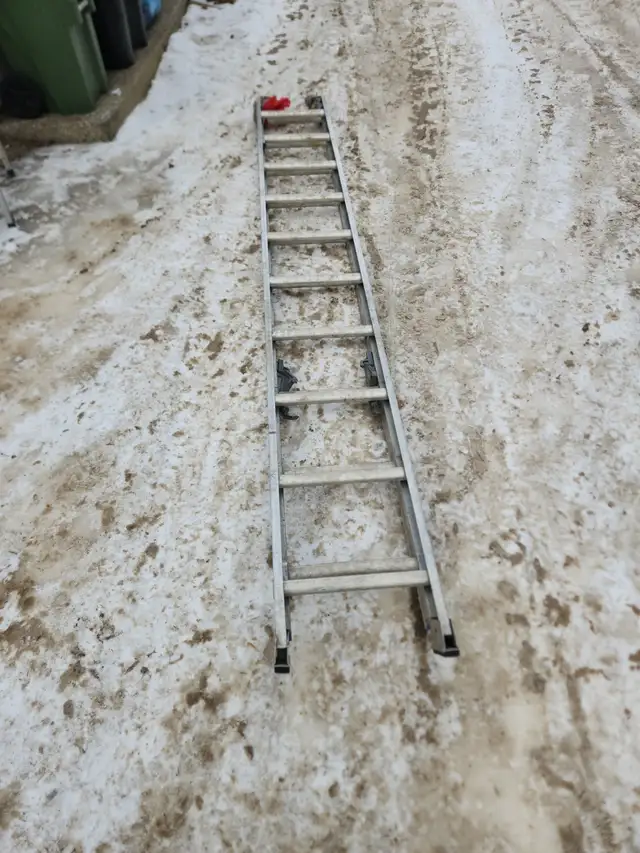 extension ladder little giants