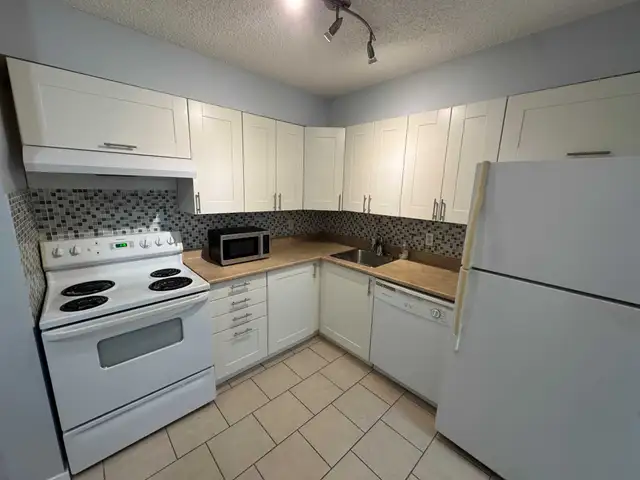 Available NOW!- Fort Richmond in Bairdmore Estates - Photo 8