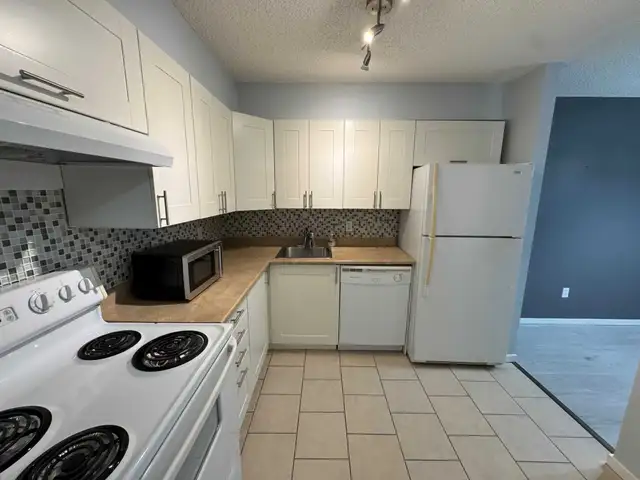 Available NOW!- Fort Richmond in Bairdmore Estates - Photo 9